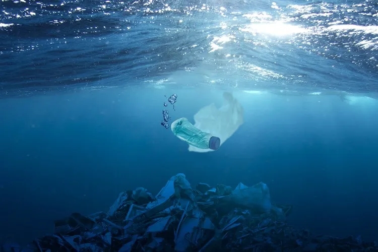 首页 天天聚氨酯网 新闻 >>正文      每年,人类都会向海洋倾倒100至